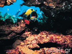 Corfou - Plongée sous-marine