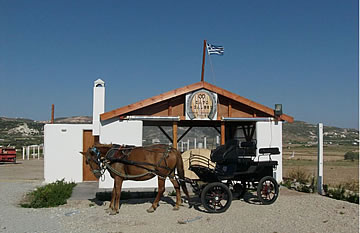 Life in Milos Island - Horse Riding