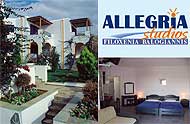 Allegria studios,Kiklades,Andros,Gavrio,with pool,with bar