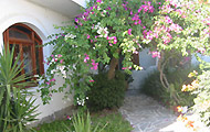 Ostria Studio Apartments, Rooms in Aegina Island, Marathonas, Hotels and Apartments in Greek Islands Greece