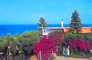 Mantoukos Apartments,Peloponnese,Chrani,Agios Andreas,Messinia,Messiniakos Bay,Beach,Garden.