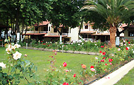 The Roses Bungalows, Hotels and Apartments in Halkidiki, Neos Marmaras, Holidays in Halkidiki, Greece Hotels and Apartments