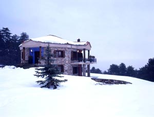 Villa Ktima Faki,Litohoro,Pieria,Katerini,North Greece