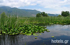 Kerkini Lake in Serres Area